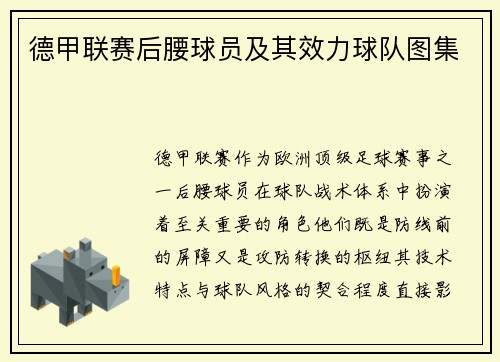 德甲联赛后腰球员及其效力球队图集