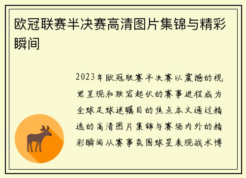 欧冠联赛半决赛高清图片集锦与精彩瞬间