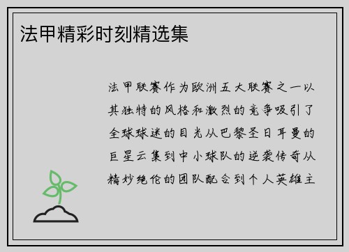 法甲精彩时刻精选集